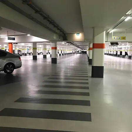 Scottish Thistle * زاندفورت