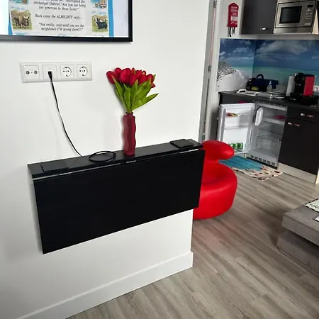 Scottish Thistle 아파트 잔드보르트