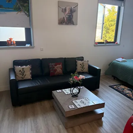 Apartment Scottish Thistle