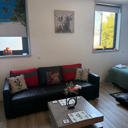 Scottish Thistle Apartment Zandvoort