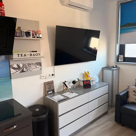 Scottish Thistle * Zandvoort