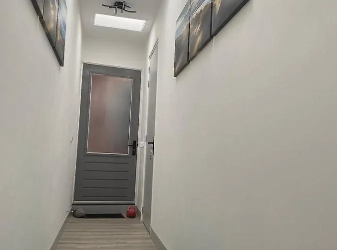 Scottish Thistle * 잔드보르트