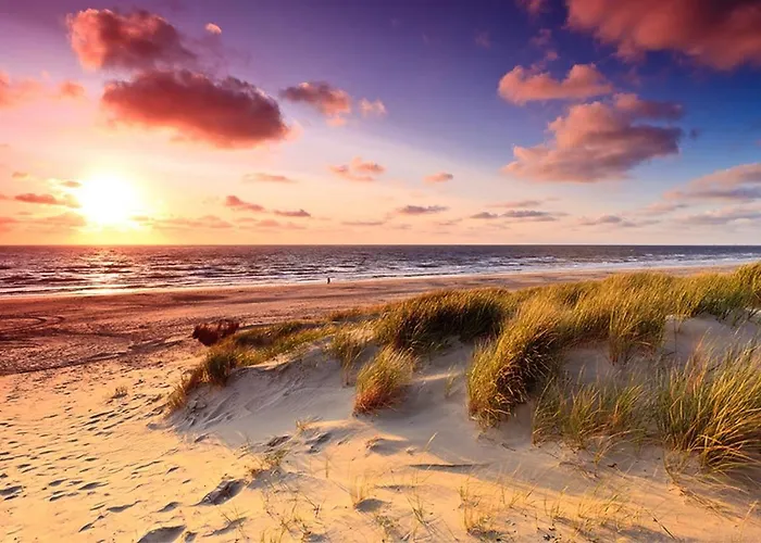 Scottish Thistle 아파트