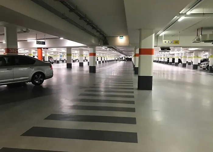 Scottish Thistle * 잔드보르트