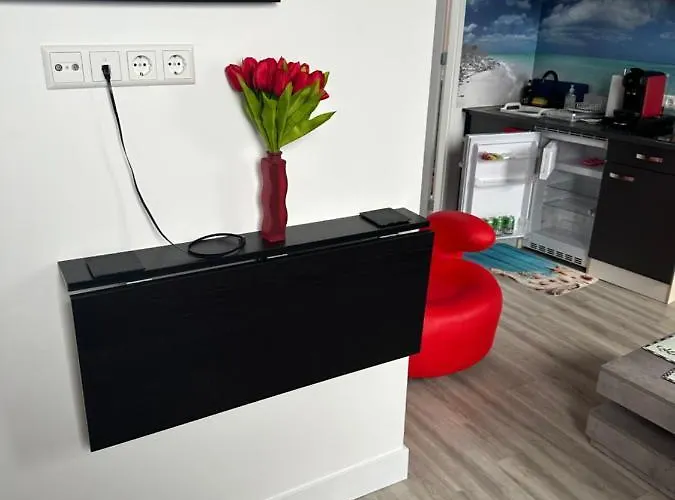 Scottish Thistle 아파트 잔드보르트