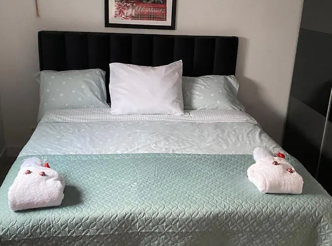 아파트 Scottish Thistle *