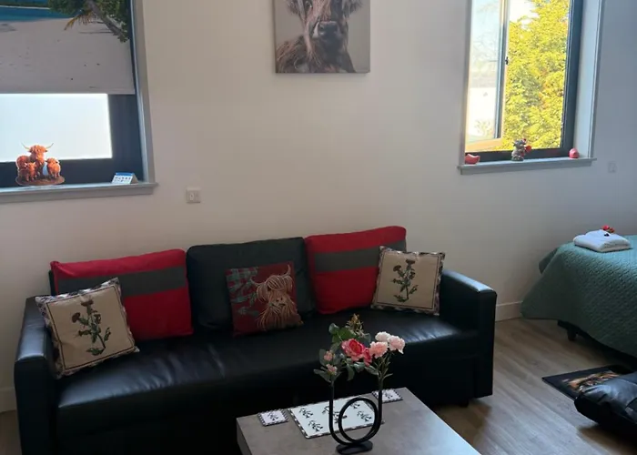 Scottish Thistle 아파트 잔드보르트