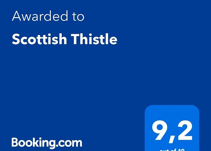 Scottish Thistle 잔드보르트