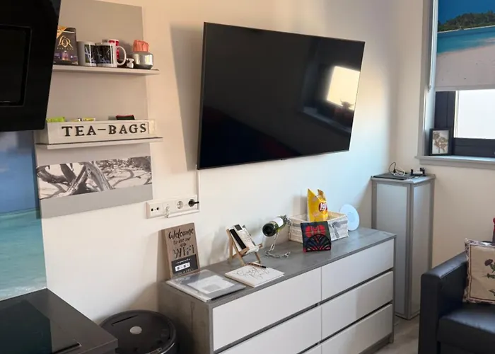 Scottish Thistle * 잔드보르트