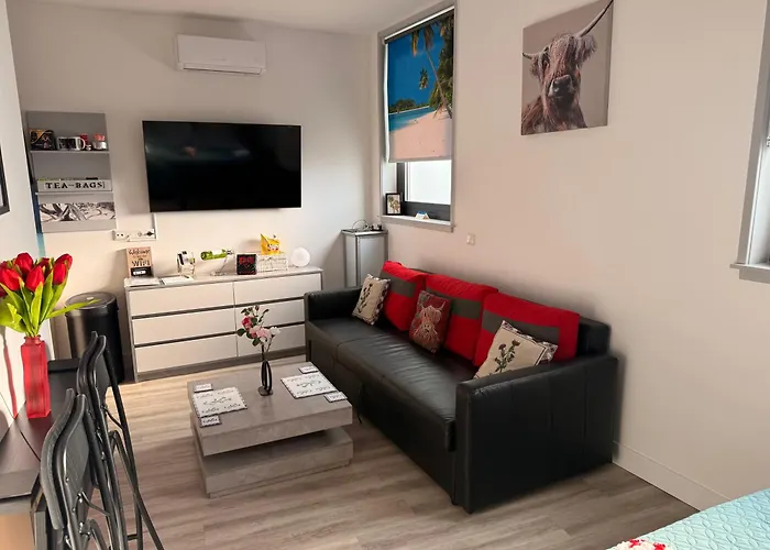 아파트 Scottish Thistle *